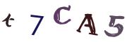 Image CAPTCHA